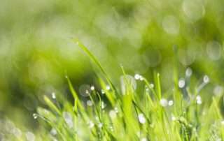Environmental Benefits of a Green Cleaning Program | SparkleTeam
