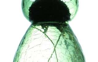 green certified products ensure that the products you buy are made with chemicals that will not pose a threat or harm the environment around us.