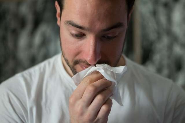 Top Allergy Triggers in the Office (and How to Prevent Them)