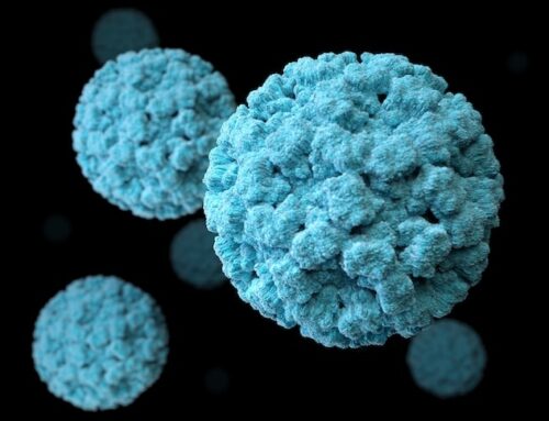 Why you need to know about  Norovirus and Shigella