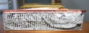 Dust captured from vacuum filter