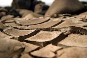 dirt in commercial buildings