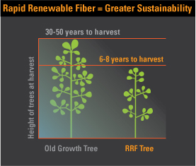 Ever wonder what sustainability means and how we can use it in our business? Describes what sustainability means, what is sustainable cleaning and what are the benefits of implementing a sustainable program?