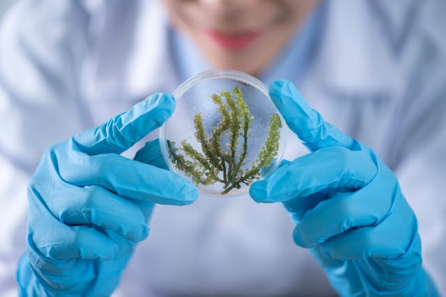 bio-based cleaning products